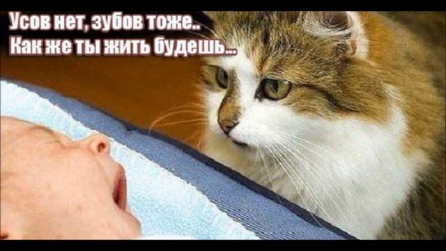 1 Апреля!!!!!!День Смеха Позитива И Шуток!!!! смотреть онлайн