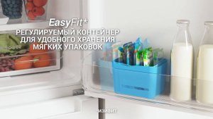 Холодильник Indesit ITS 5200 W