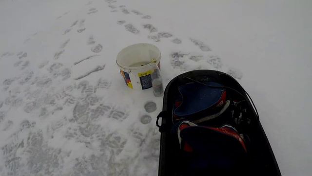 ПЕРВЫЕ ЖЕРЛИЦЫ! САМАЯ УДАЧНАЯ ЗИМНЯЯ РЫБАЛКА В ЖИЗНИ! Трофей за нами! смотреть онлайн