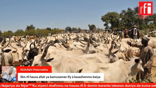 Labaran RFI Hausa na karfe 5 cikin bidiyo 28/02/2024 • RFI Hausa смотреть онлайн