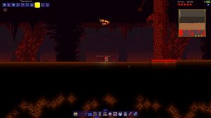 КАКИХ РАЗМЕРОВ СТЕНА ПЛОТИ? ЭКСПЕРИМЕНТЫ НАД СТЕНОЙ ПЛОТИ В ТЕРРАРИИ!