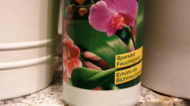 #ОрхидеиЗимойУход#УходЗаОрхидеями Уход за орхидеями зимой.