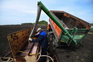экспорт удобрений из РФ чрезвычайно важен для мира | новости