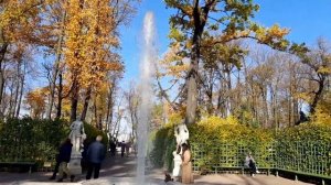 Прогулка по осеннему Летнему саду в Петербурге.