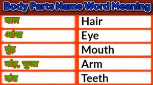 Body Parts Name Word Meaning Video | Human Body Parts | English With Vipul Mishra