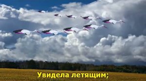 Журавлёнок