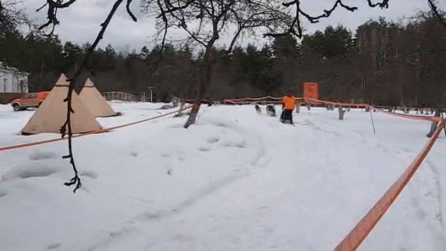 «Экспедиция» на хаски в Минске смотреть онлайн