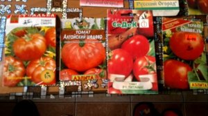 Обзор семян томатов. Сортовые семена и гибридные формы томатов. Все плюсы или минусы.Часть 3