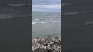 Медицинский центр «Белый медведь» в Махачкале Дагестане