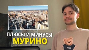 Обзор Мурино – отзывы местных и стоимость квартир
