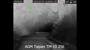 Review of $550 AGM Taipan TM10 - 256