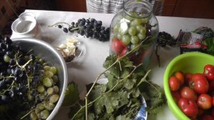 Помидоры консервированные с виноградом на зиму