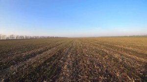 Охота на зайца с Таксой краснодарский край 2021