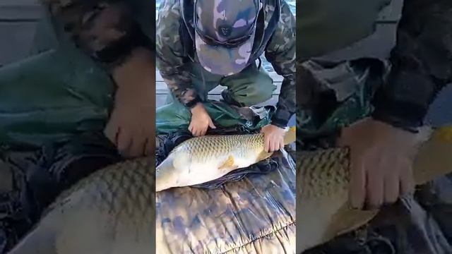 Клёвая рыбалка в Новой Казанковке 5
