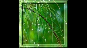 Виктор Н. Авторская песня "Ещё один год"