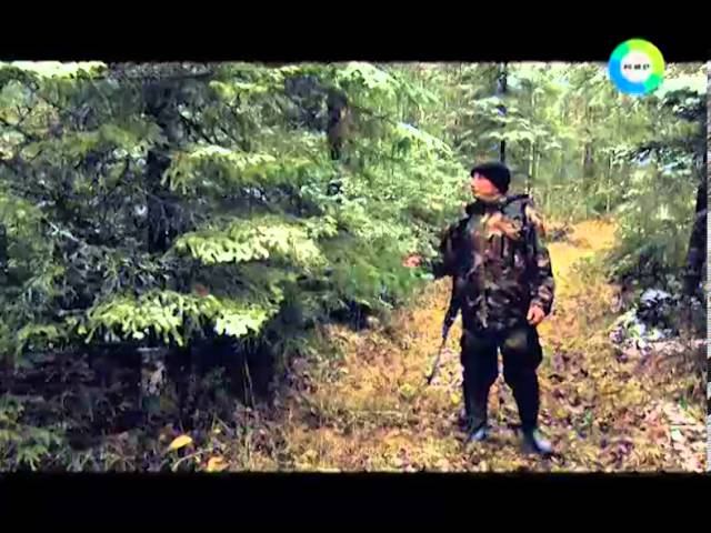 В сердце Пармы...