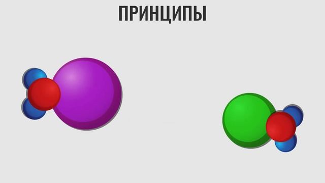 Что такое гидропоника и как питаются растения