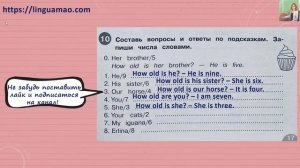 Starlight (Звездный английский) 2 сборник грамматических упражнений стр 17 номер 10 ГДЗ решебник