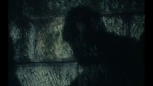 太陽にほえろ! 第218話 殿下とスコッチ