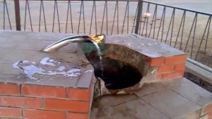 Сероводород в воде