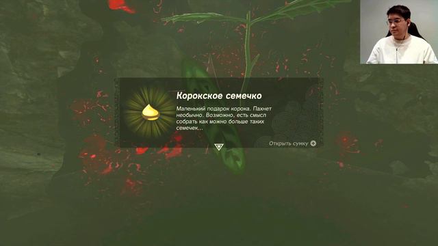 Прохождение The Legend of Zelda TOTK 25: Хайлийский щит