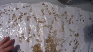 Рыбий клей часть 2