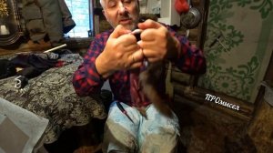 Промысловая охота для начинающих.Первичная обработка белки.