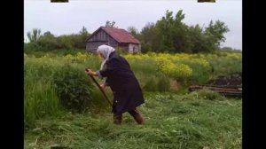 Деревня моя, деревянная дальняя