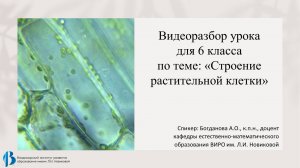 Видео разбор урока для 6 класса по теме: "Строение растительной клетки"
