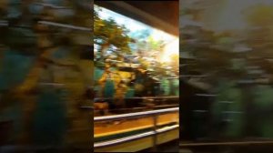 Московский зоопарк. Зоопарк. Москва. Огромный зоопарк. Московский зоопарк все животные 2023. Класс!