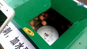 Станок для очистки грецкого ореха от кожуры