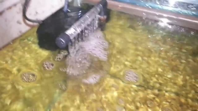 Resun / Clear Seal Magi-200 Filter in a 50L aquarium. смотреть онлайн