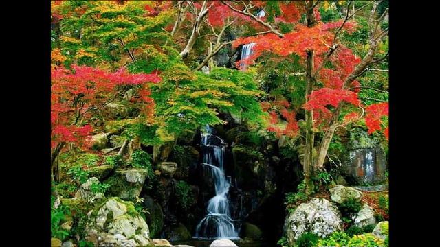 Японский сад / Japanese Garden смотреть онлайн