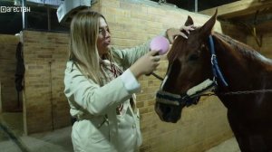 Дагестан туристический. Конный клуб