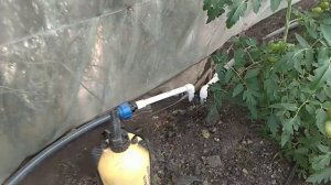 Система капельного полива теплиц и огорода
