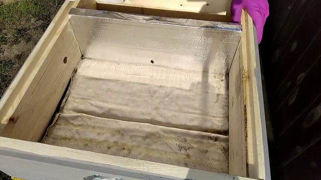 как получить майский мёд с семей средней силы смотреть онлайн