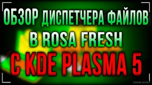 Погружаемся в возможности диспетчера файлов Rosa Fresh на базе KDE Plasma 5