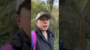 Выпадание волосяного покрова на голове и с чем это связано, причины и коррекция.