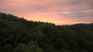 Сила 7 поколений. Почему так важно знать о своём роде?