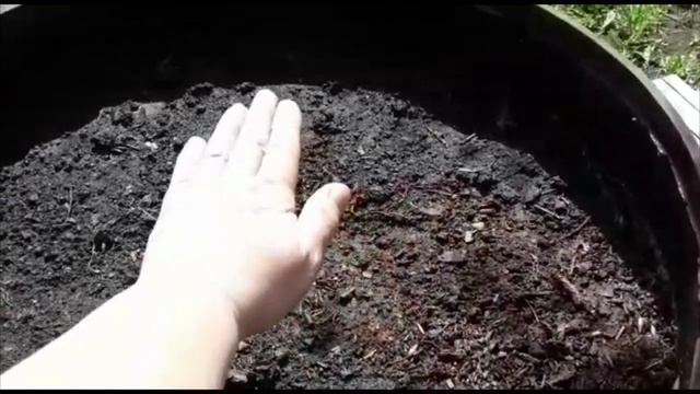 ДАЧНЫЙ ВЛОГ. БЕЗ КЕРХЕРА/МОЕМ ДОМ/САЖАЮ ОГУРЦЫ В БОЧКИ/ЭКСПЕРИМЕНТ/КАБАЧОК И ТЫКВА смотреть онлайн