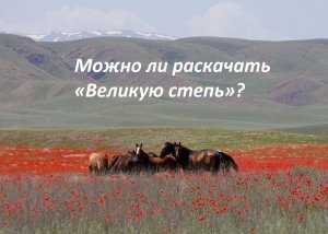 Кто профинансирует казахстанские нацбаты? (Роман Уланов)