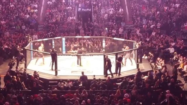 КЕЙН ВЕЛАСКЕС ПРОТИВ ФРЭНСИСА НГАННУ / ПОЛНЫЙ ОБЗОР БОЯ! смотреть онлайн