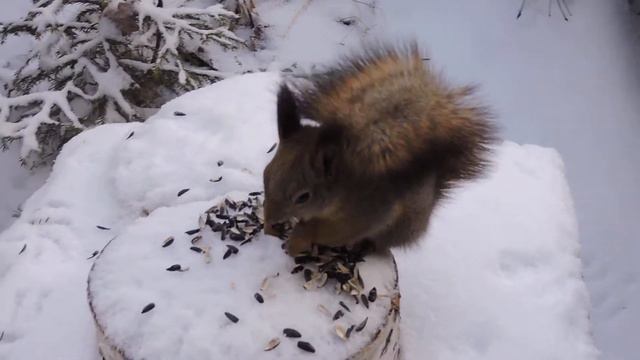 "Общение состоялось" смотреть онлайн