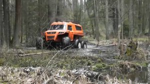 Вездеходы Литвина прогулка по болоту. All-terrain vehicle Litvina walk through the swamp.