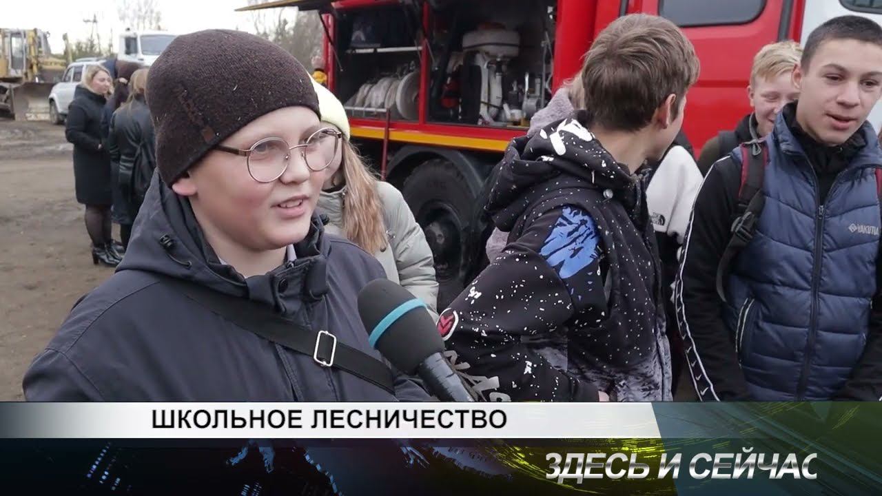 школьное лесничество