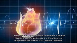 Эхокардиография плода