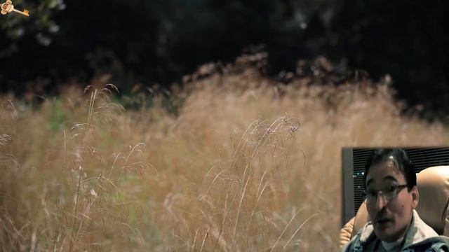 Просветление | Техника моментального осознания себя [Саламат Сарсекенов / Сатсанг / Пробуждение] смотреть онлайн