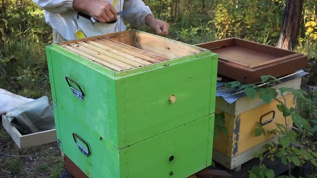 Смотрю ослабшие семьи, контроль состояния. смотреть онлайн