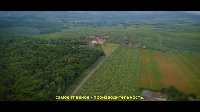 Посмотрите историю Маркуса, бразильского фермера, который работает на будущее сельского хозяйства. смотреть онлайн