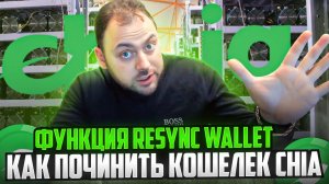 Как самому починить кошелек Chia | Функция Resync Wallet